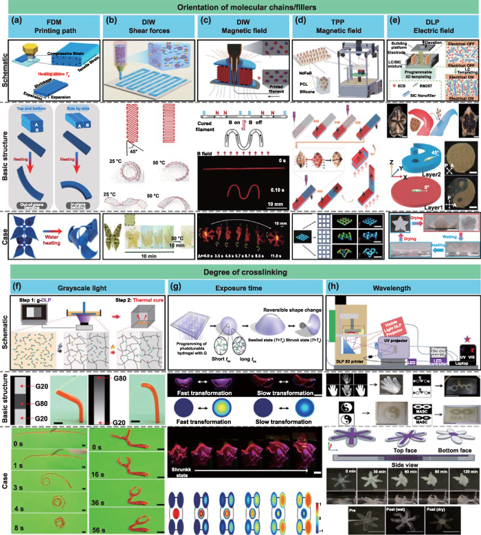 Mechanism and manufacturing of 4D printing: derived and beyond the ...
