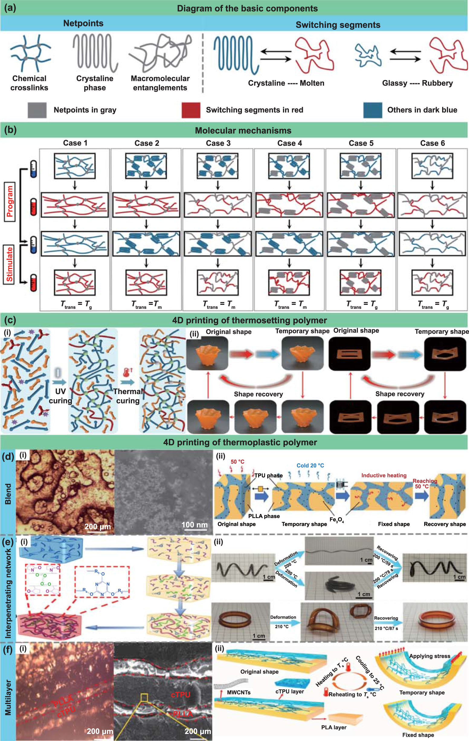 Mechanism and manufacturing of 4D printing: derived and beyond the ...