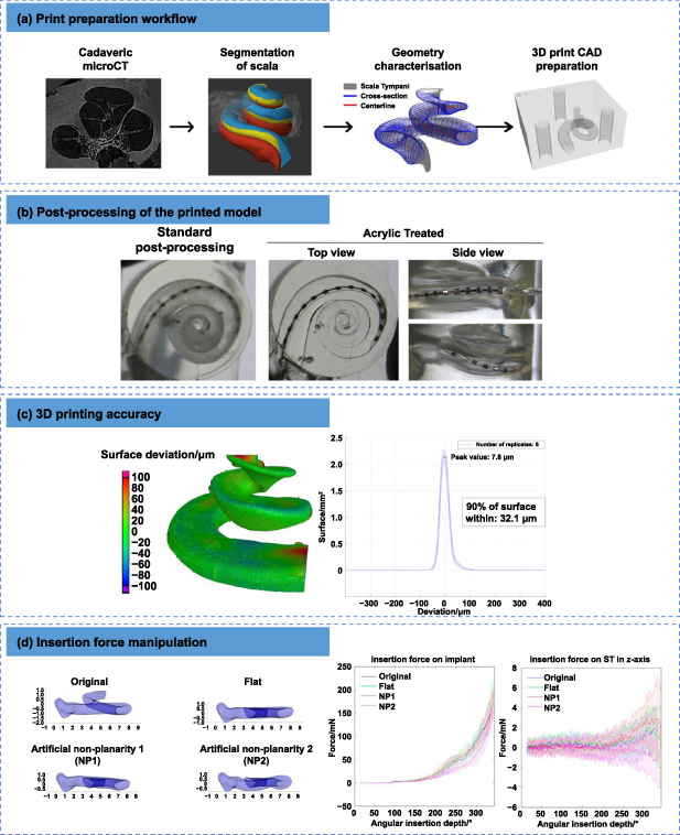 Artificial hearing systems based on functional cochlea models - IOPscience
