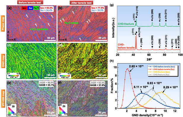 Programmable mechanical properties of additively manufactured novel ...