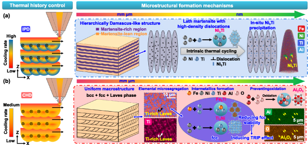 Programmable mechanical properties of additively manufactured novel ...