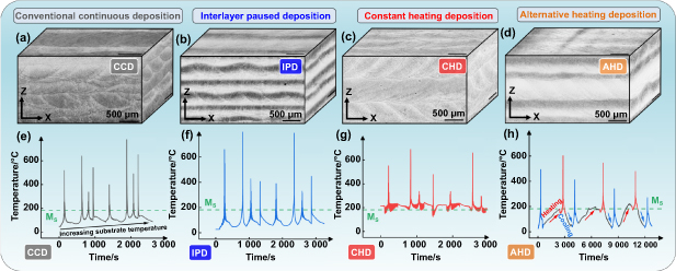 Programmable mechanical properties of additively manufactured novel ...