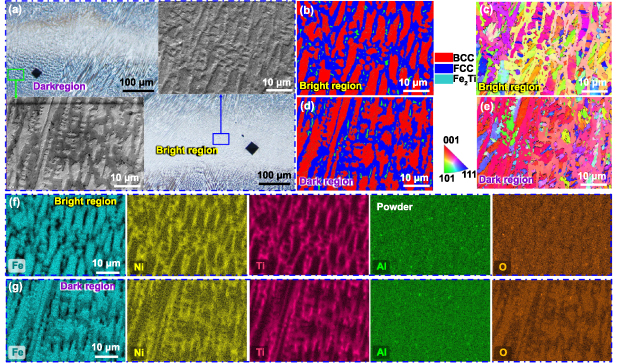 Programmable mechanical properties of additively manufactured novel ...