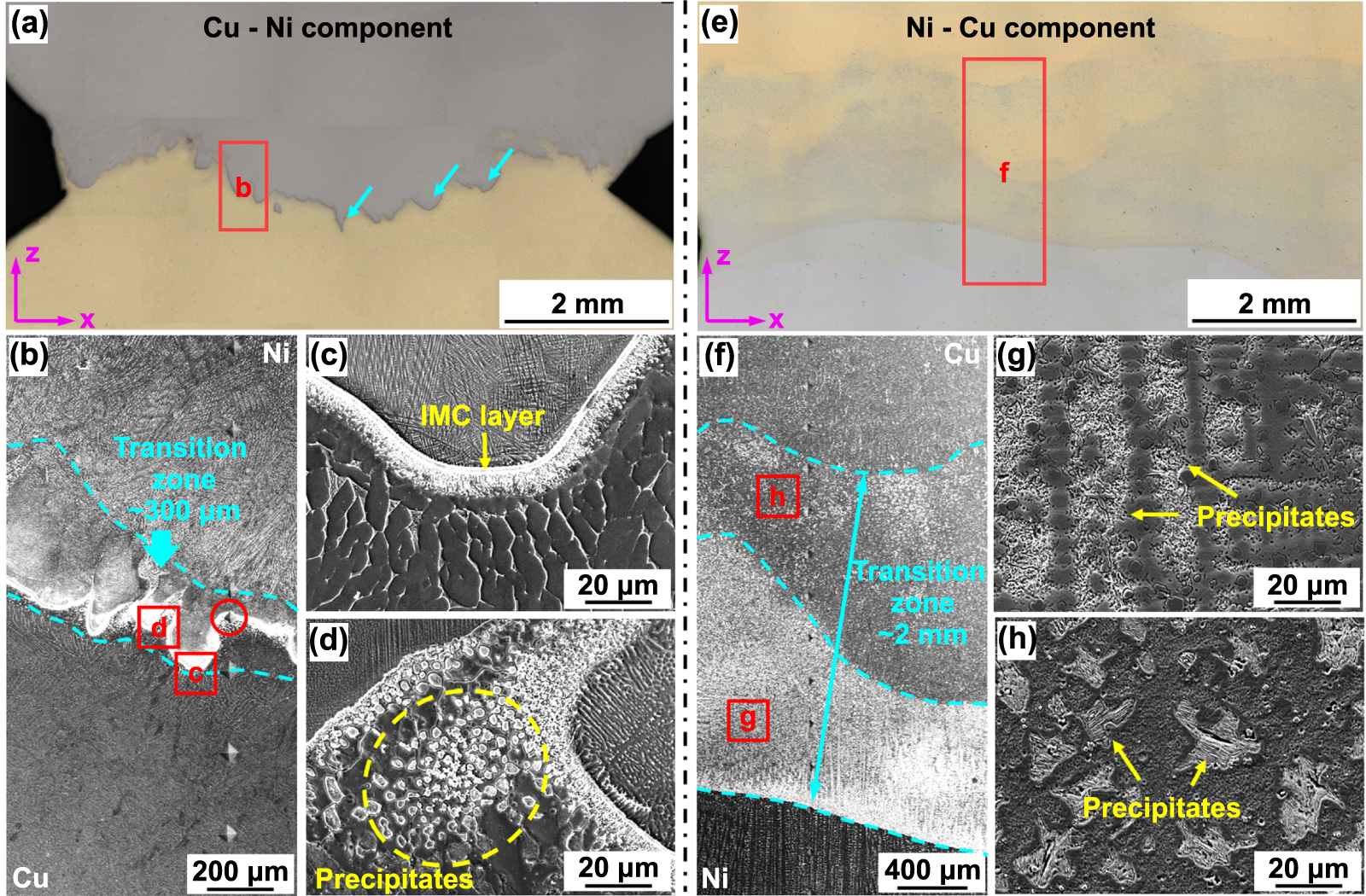 Heterogeneous interfaces of aluminum bronze/Inconel 718