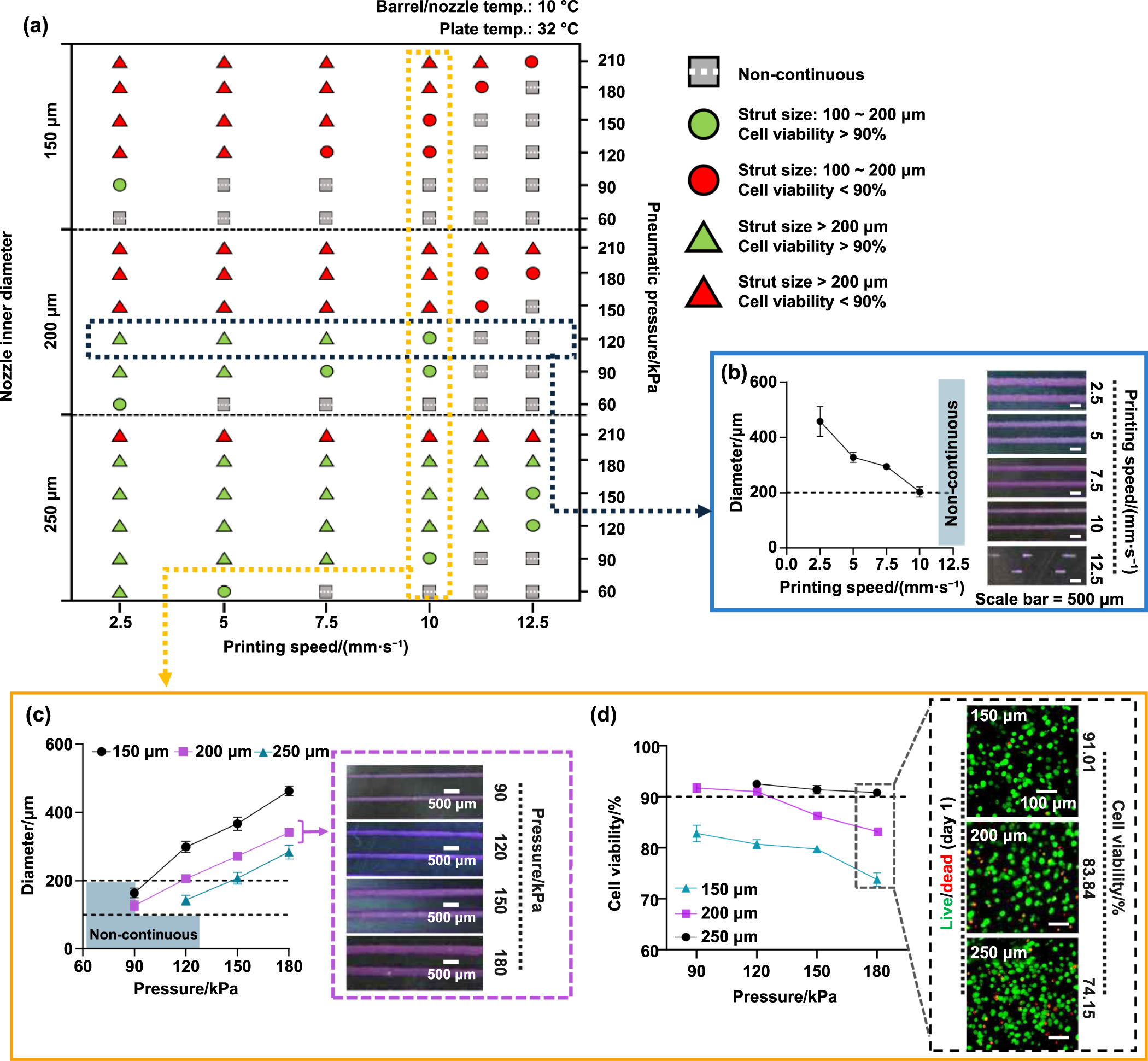 Bioengineered skin-substitutes incorporating rete-ridges using a ...