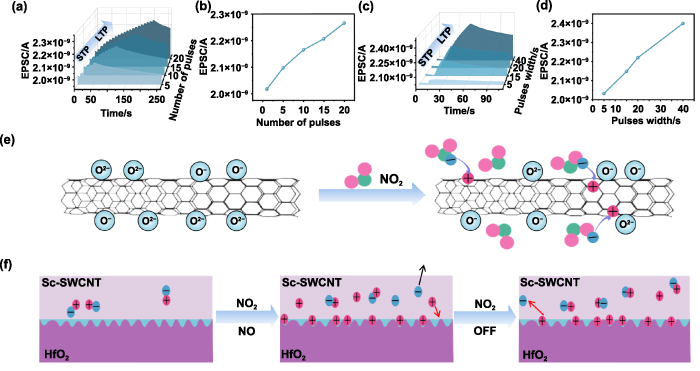 Fabrication of carbon nanotube neuromorphic thin film transistor arrays ...
