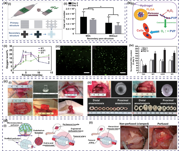 Modular strategy with autologous bioreactor: a potential way for