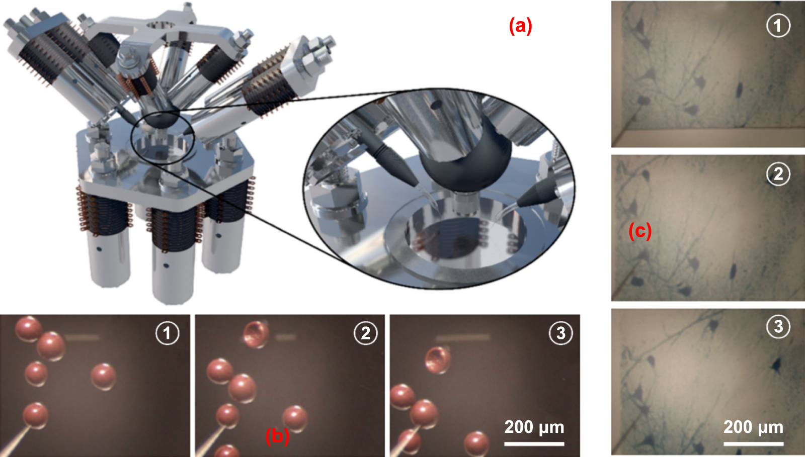 Piezo-actuated smart mechatronic systems for extreme scenarios