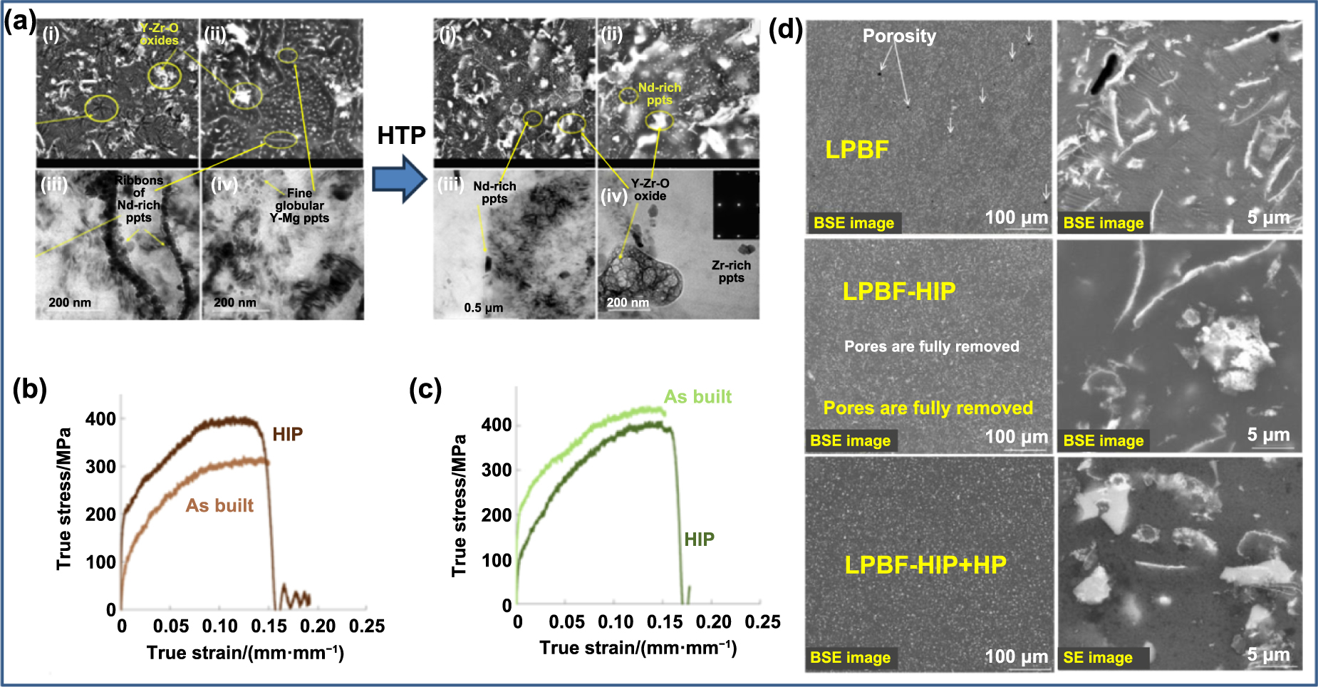 Laser powder bed fusion of biodegradable magnesium alloys: process