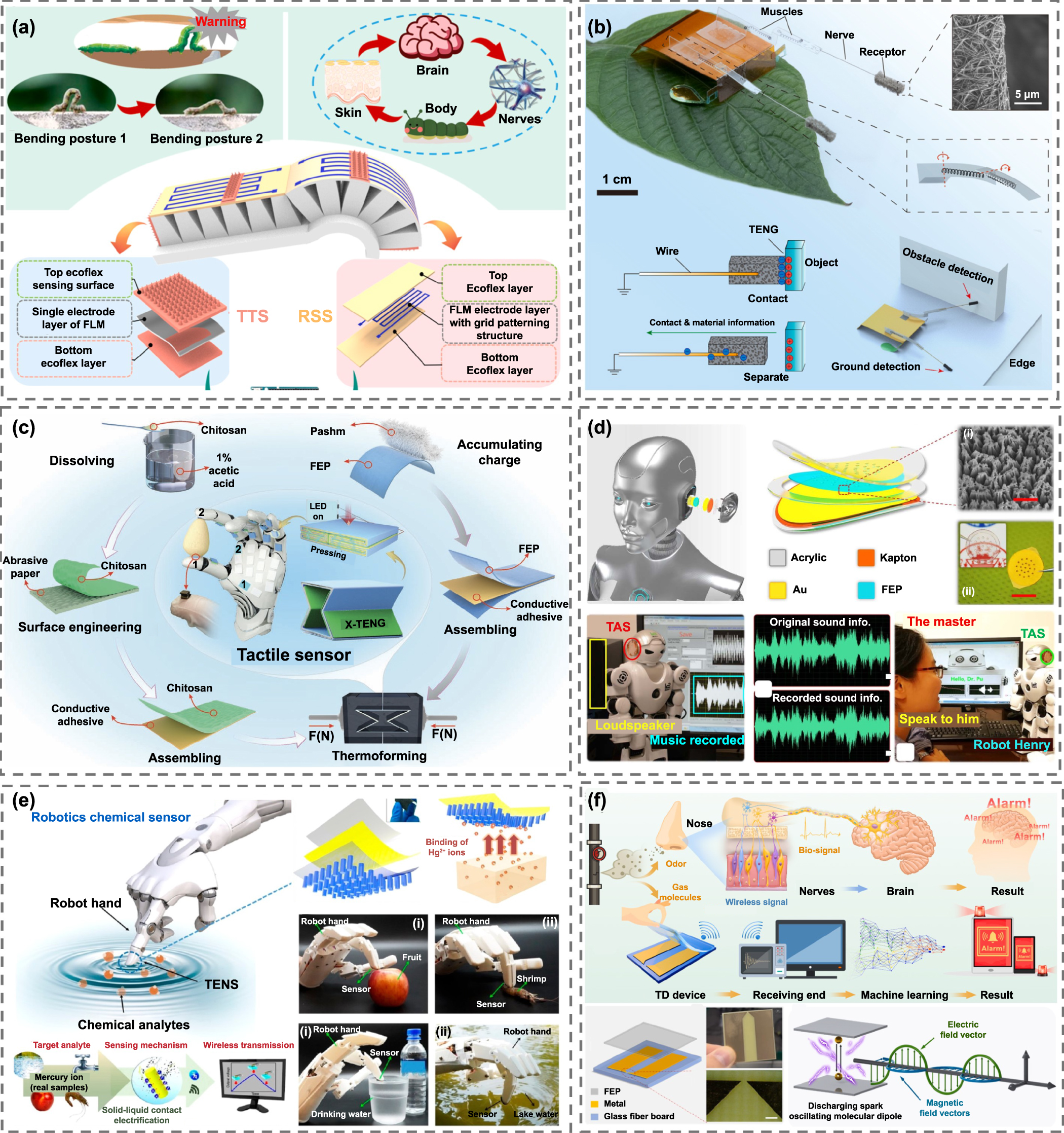 DRIVE 1993～2026 -GLAY complete BEST Flexible nanogenerators for intelligent robotics: design