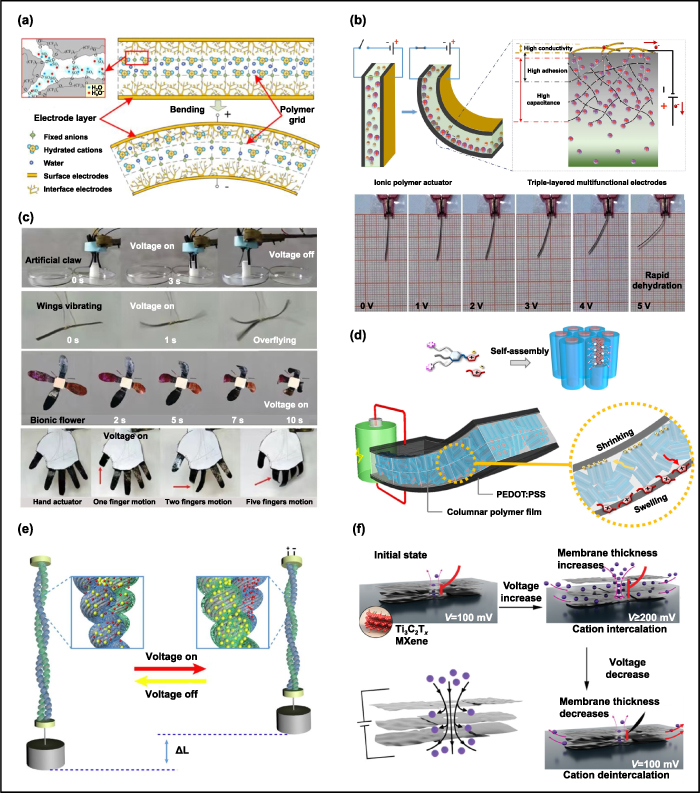 Stimuli-responsive actuators in water environment: a review
