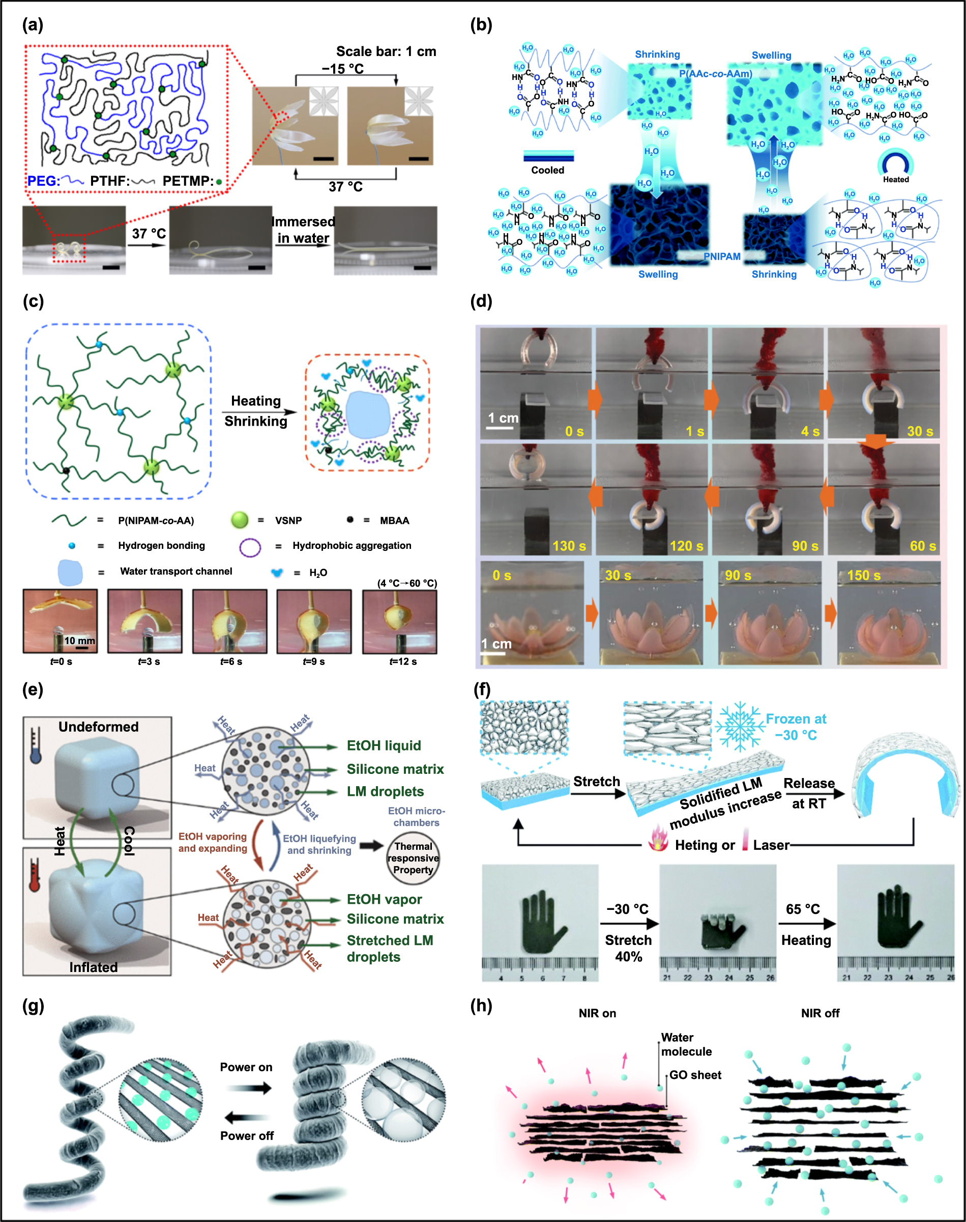Stimuli-responsive actuators in water environment: a review and future ...