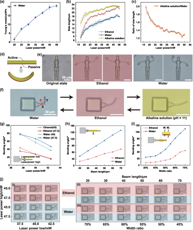 Autonomous inverse encoding guides 4D nanoprinting for highly ...