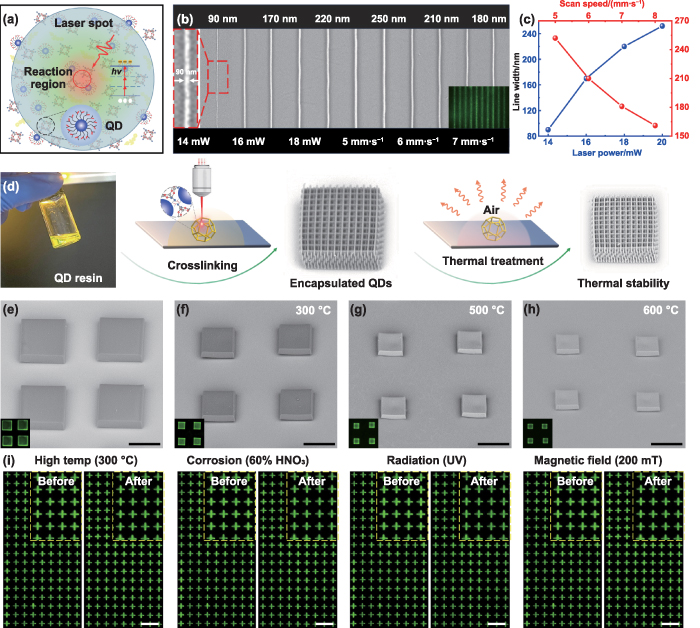 Three-dimensional direct lithography of stable quantum dots in hybrid ...