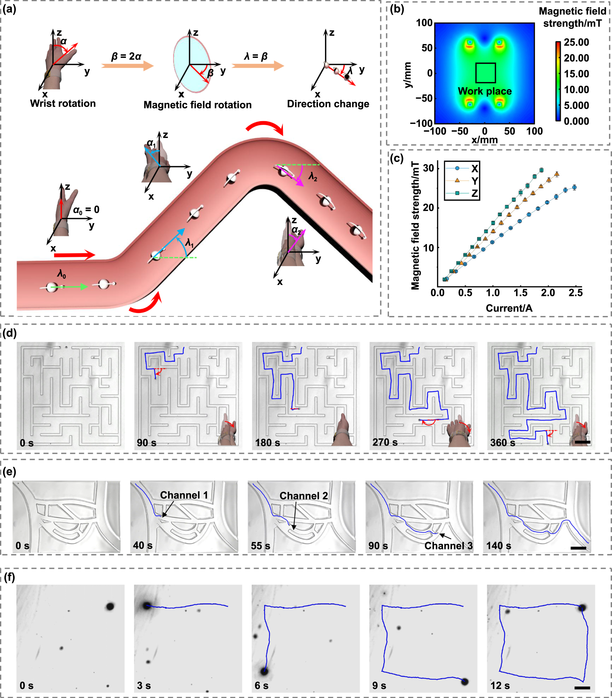 ＷＡ　HI -CAPACITY．45 Nano‐ and Microscale Optical and Electrical Biointerfaces