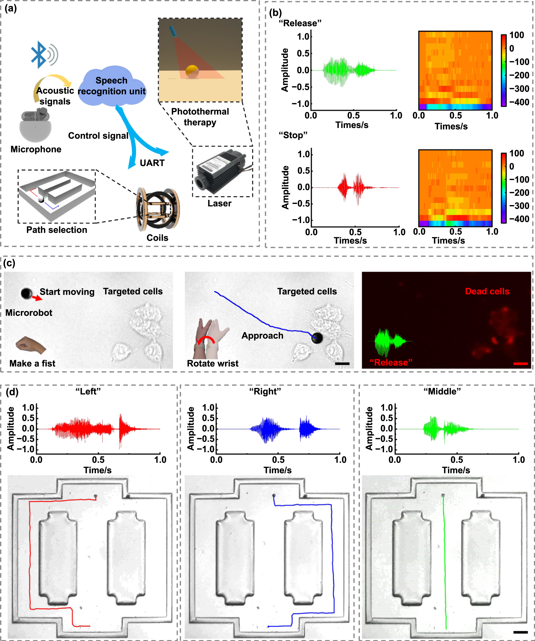 ＷＡ　HI -CAPACITY．45 Nano‐ and Microscale Optical and Electrical Biointerfaces