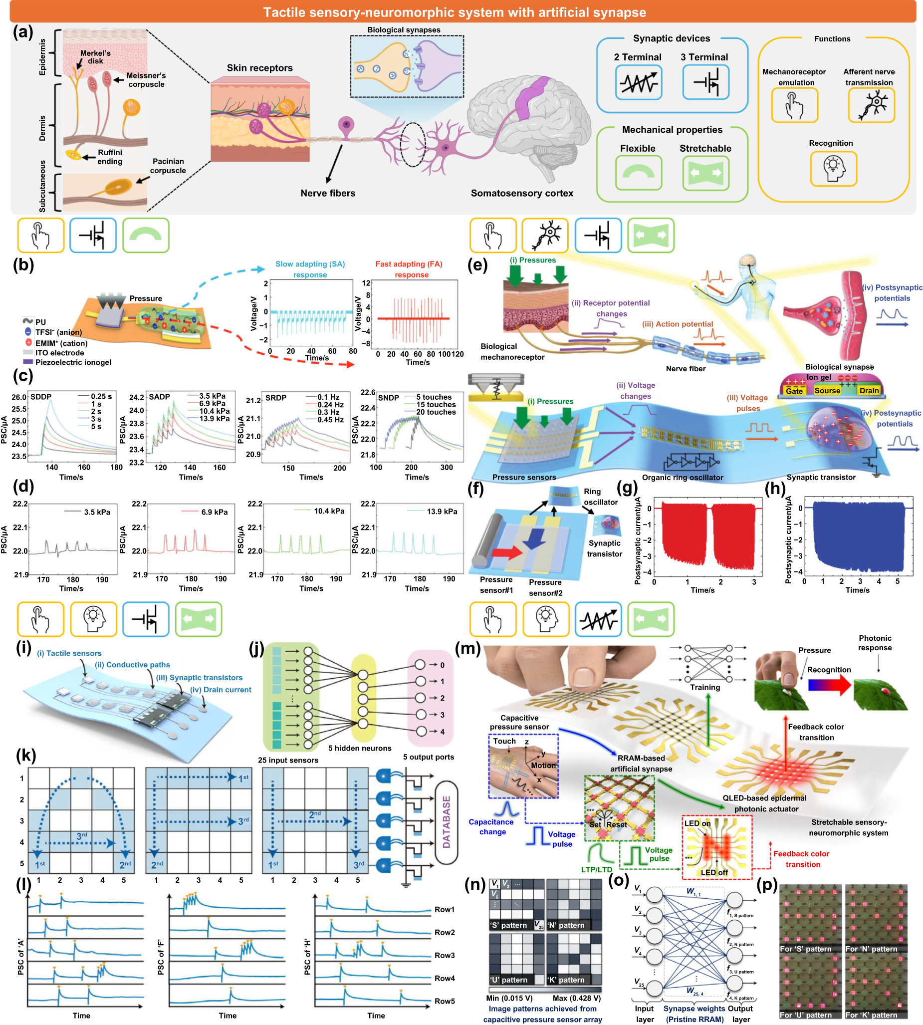 Soft sensory-neuromorphic system for closed-loop neuroprostheses ...