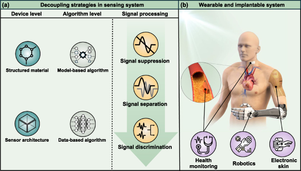 Advanced approaches to decoupled sensory signal monitoring in human ...