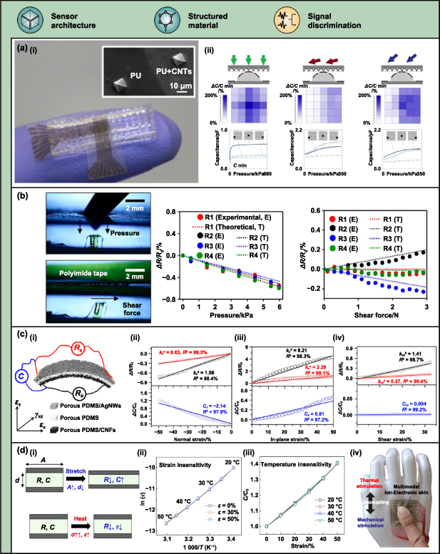 Advanced approaches to decoupled sensory signal monitoring in human ...