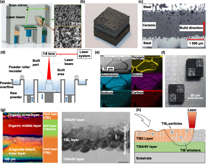 An overview on ceramic multi-material additive manufacturing: progress ...