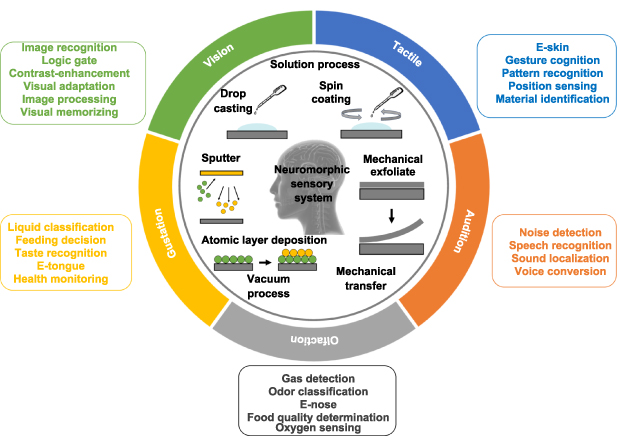 Recent progress of neuromorphic sensory and optoelectronic systems ...