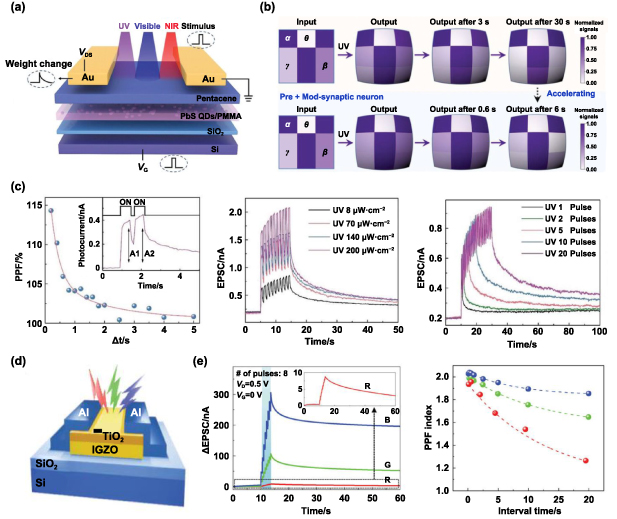 Recent progress of neuromorphic sensory and optoelectronic systems ...