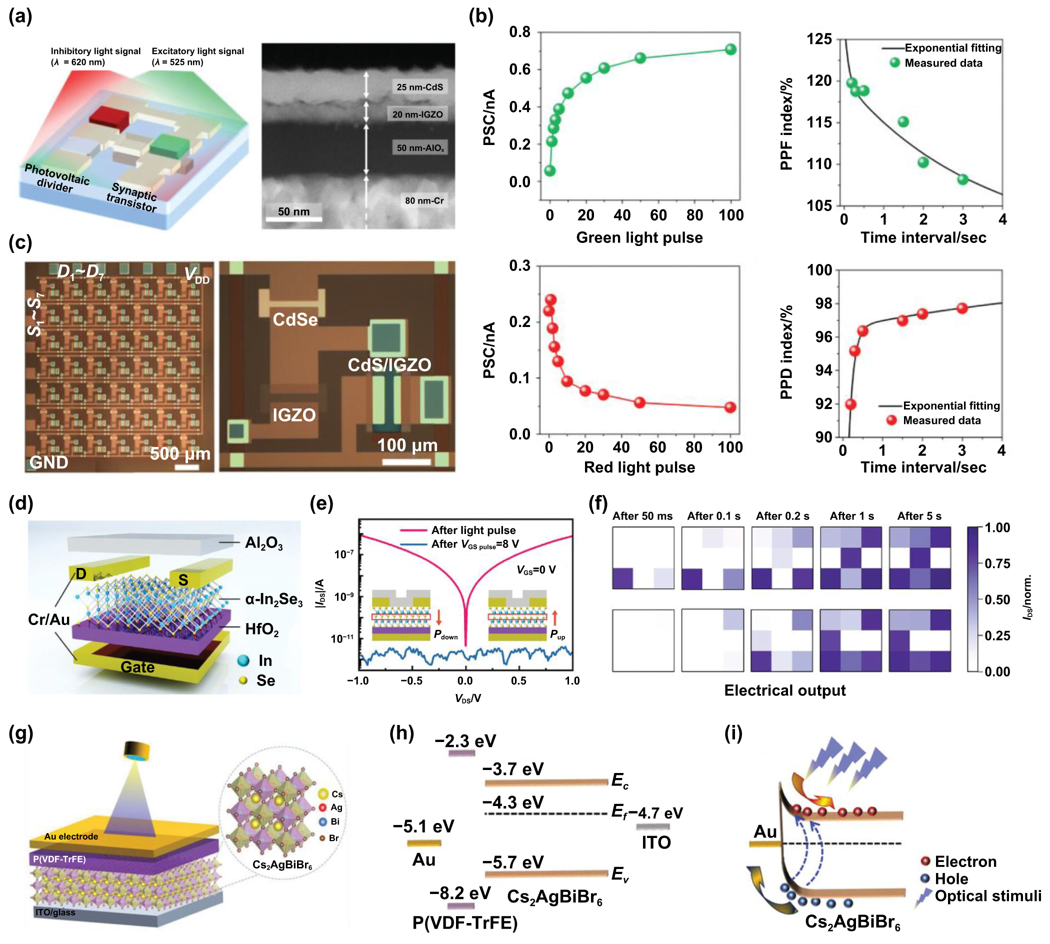 Recent progress of neuromorphic sensory and optoelectronic systems ...