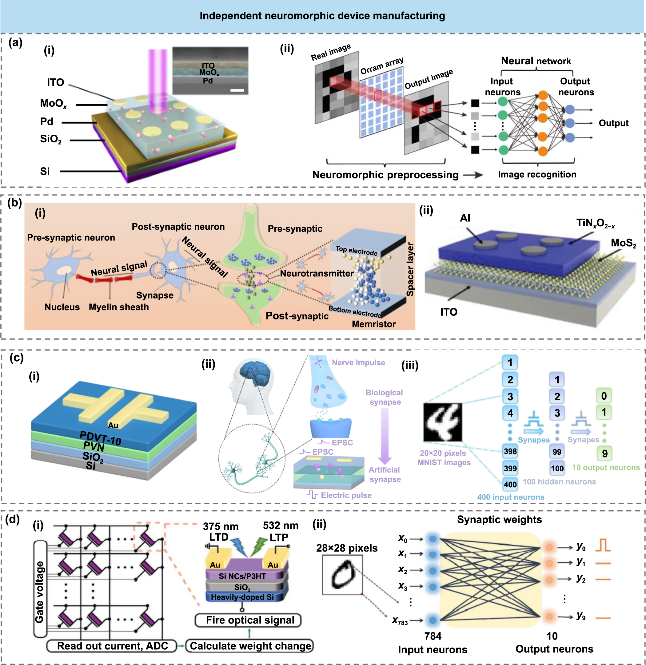 Neuromorphic devices assisted by machine learning algorithms - IOPscience