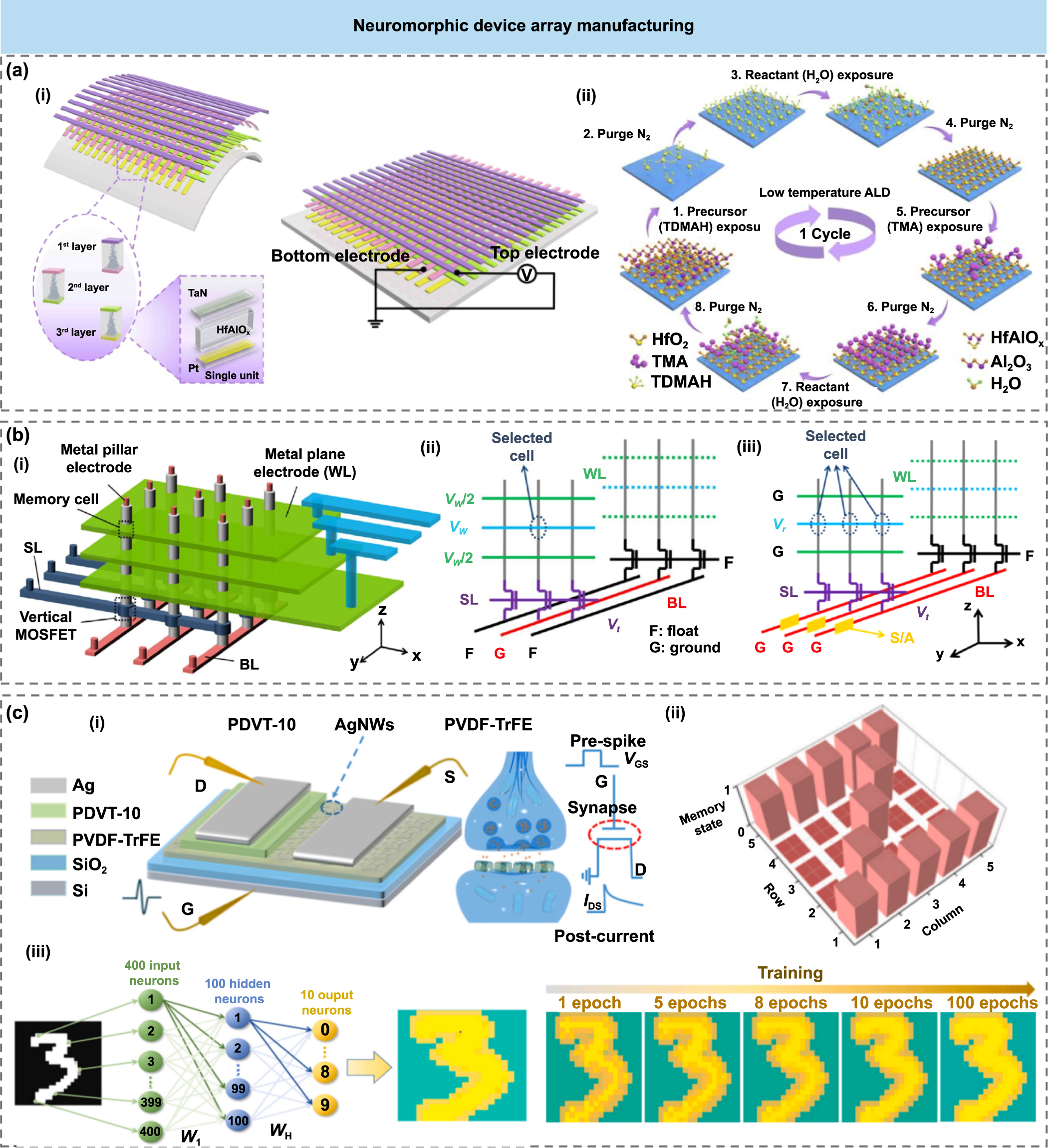 Neuromorphic devices assisted by machine learning algorithms