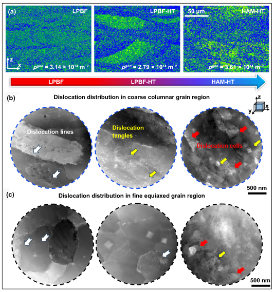 Mechanical field assisted additive manufacturing of ultrahigh