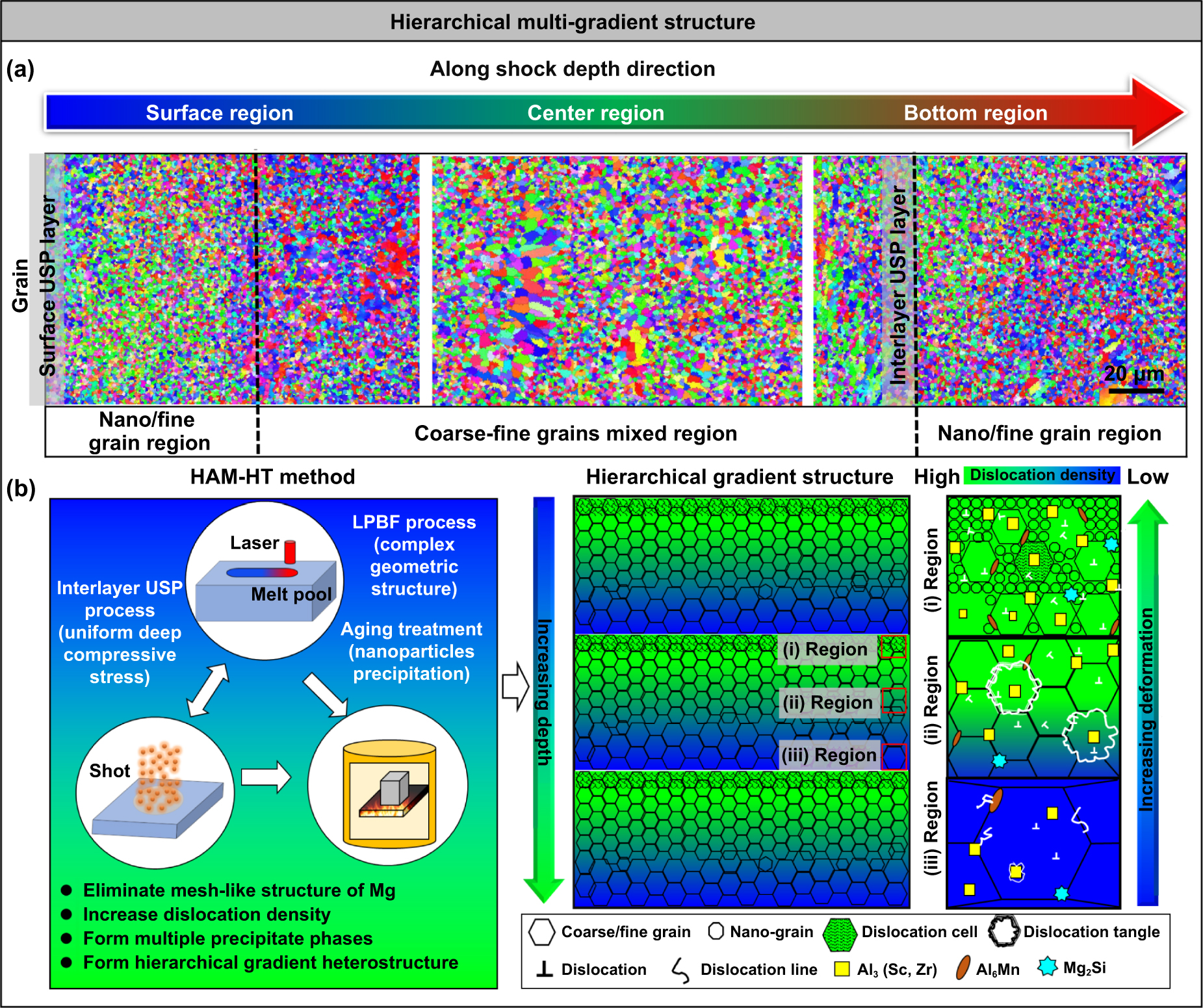 DRIVE 1993～2009 -GLAY complete BEST Differential Development Mechanisms of Pore Types under the