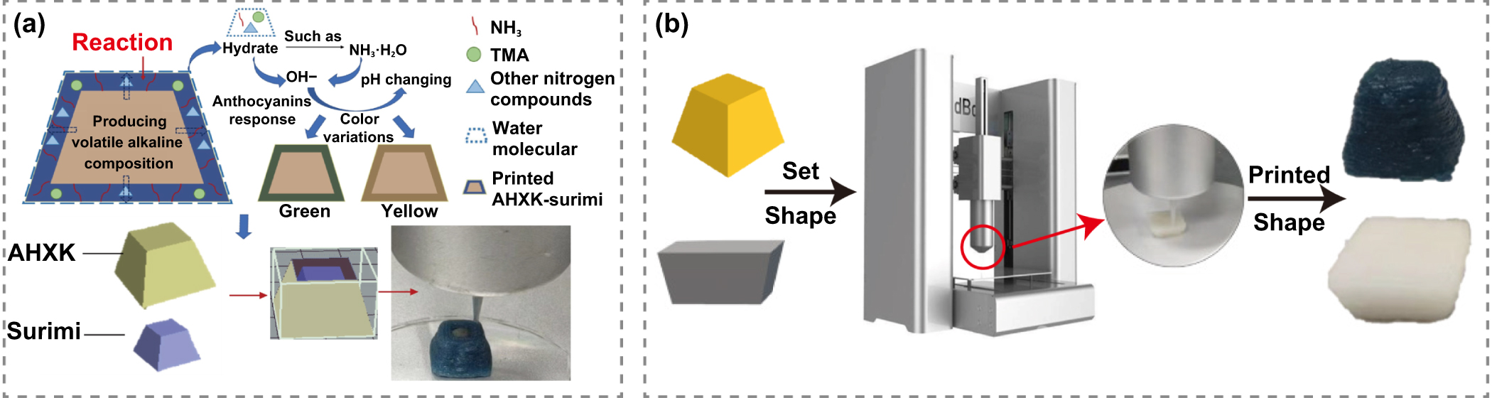 Biomass materials and their application in 4D printing