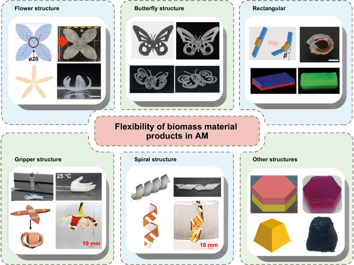 Biomass materials and their application in 4D printing - IOPscience