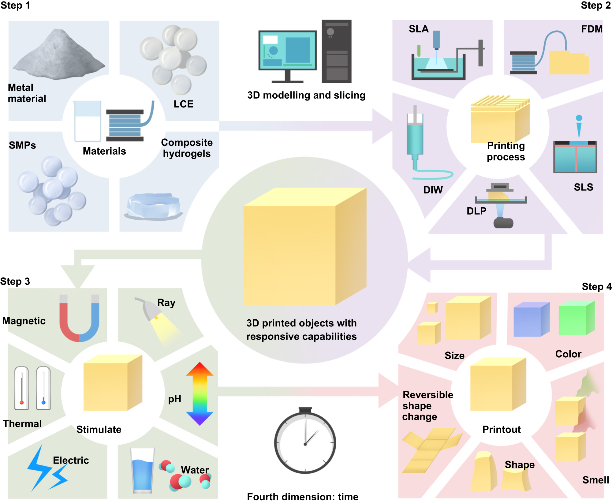 Biomass materials and their application in 4D printing - IOPscience