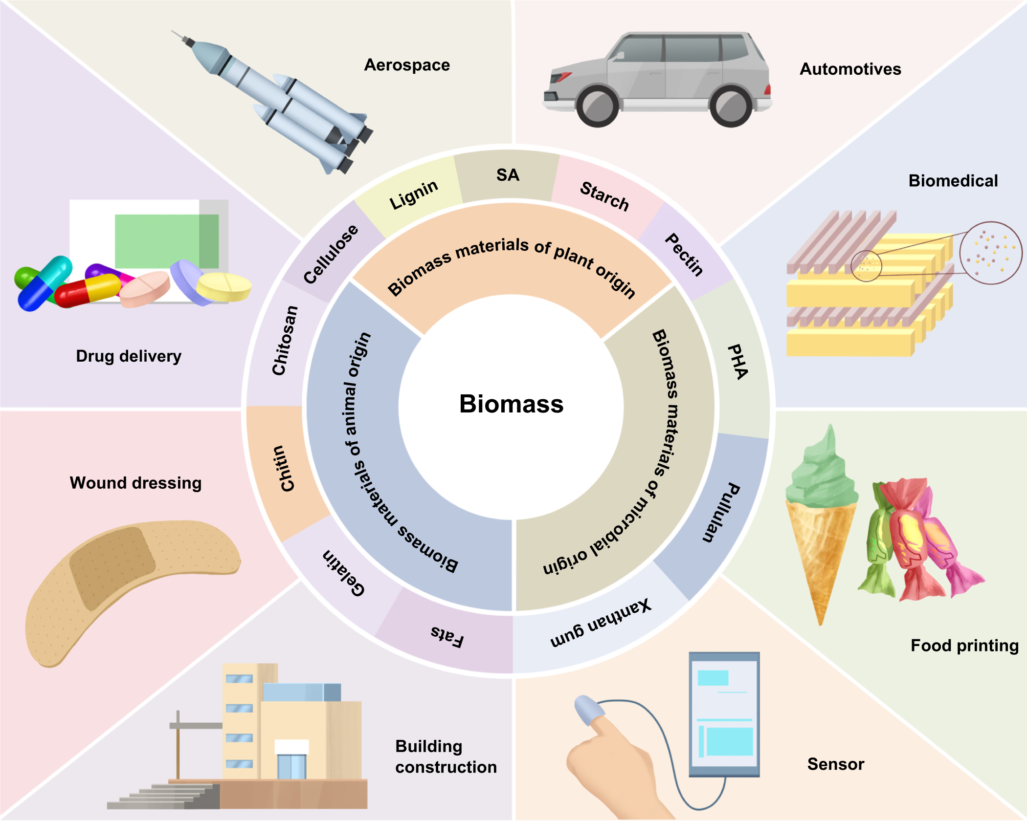 マーチン　HD -28KM Species diversity of fungal pathogens on cultivated