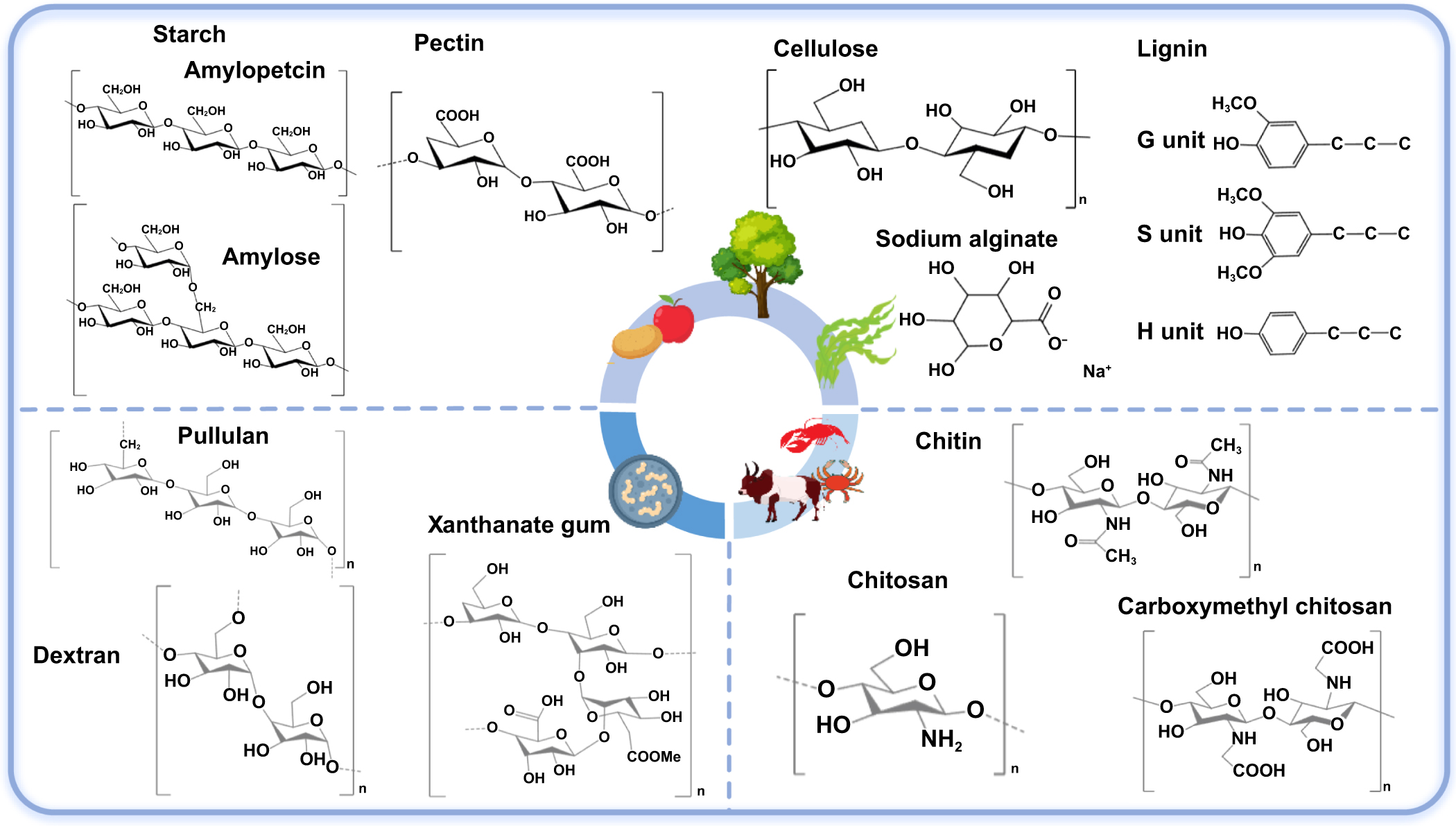 Biomass materials and their application in 4D printing - IOPscience