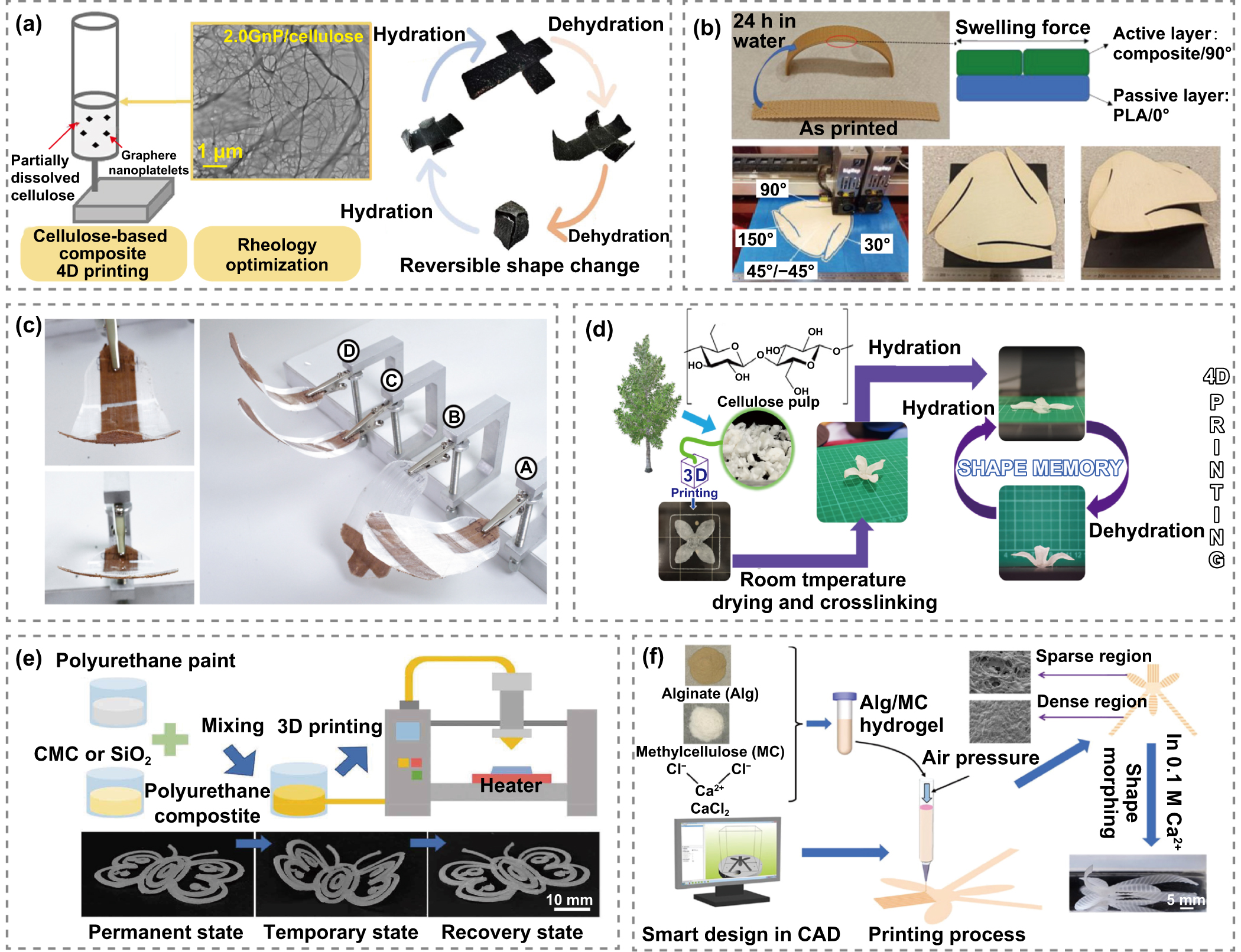 Biomass materials and their application in 4D printing - IOPscience