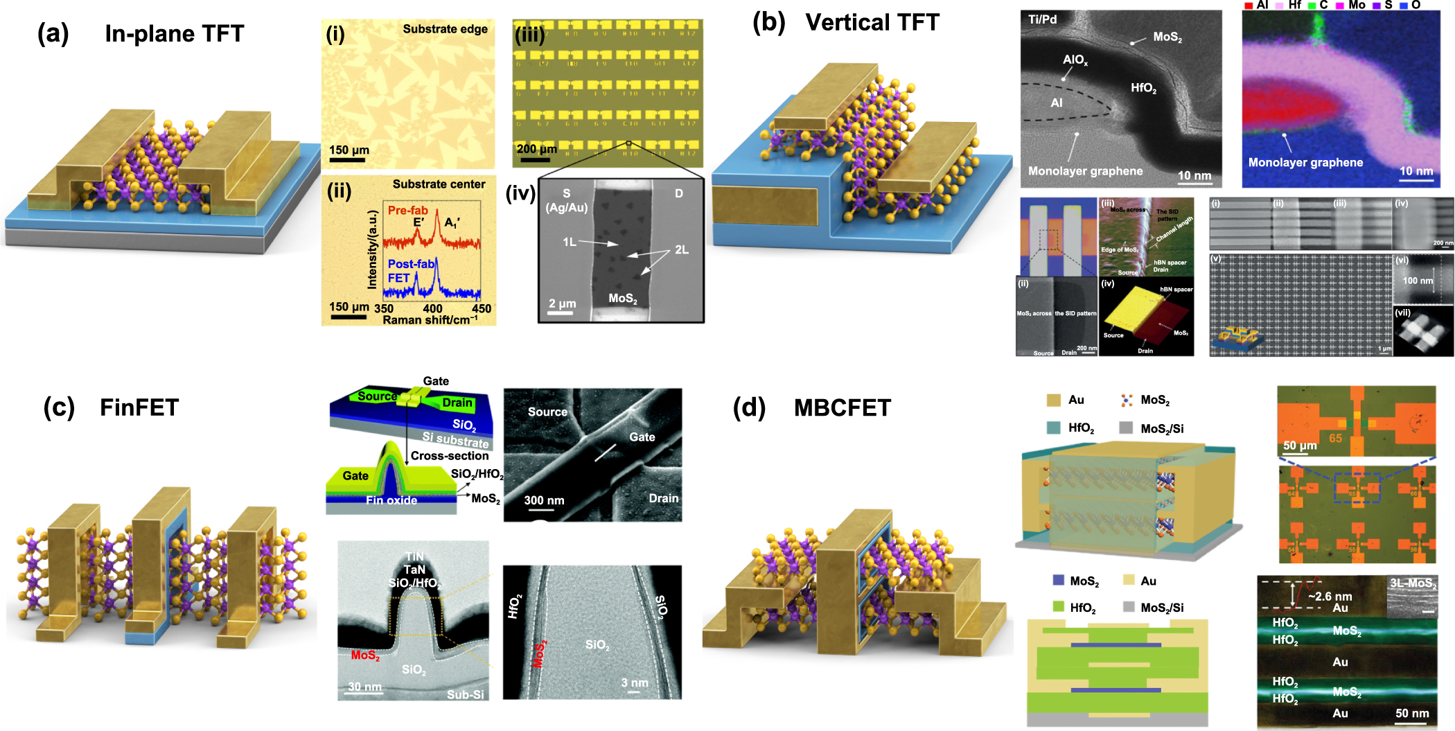 Next generation High-Mobility 2D chalcogenides TFT for