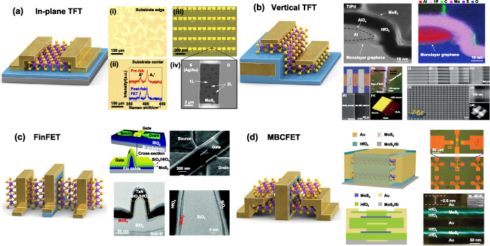 ルミネスセット Next generation High-Mobility 2D chalcogenides TFT for