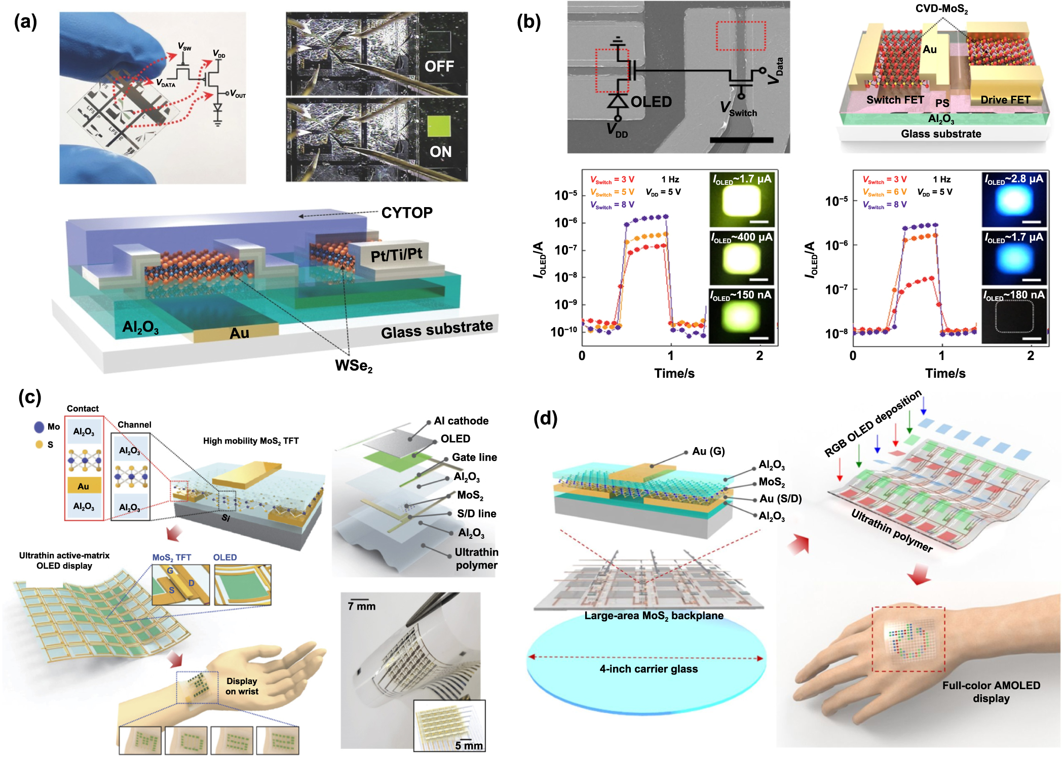 ルミネスセット Next generation High-Mobility 2D chalcogenides TFT for