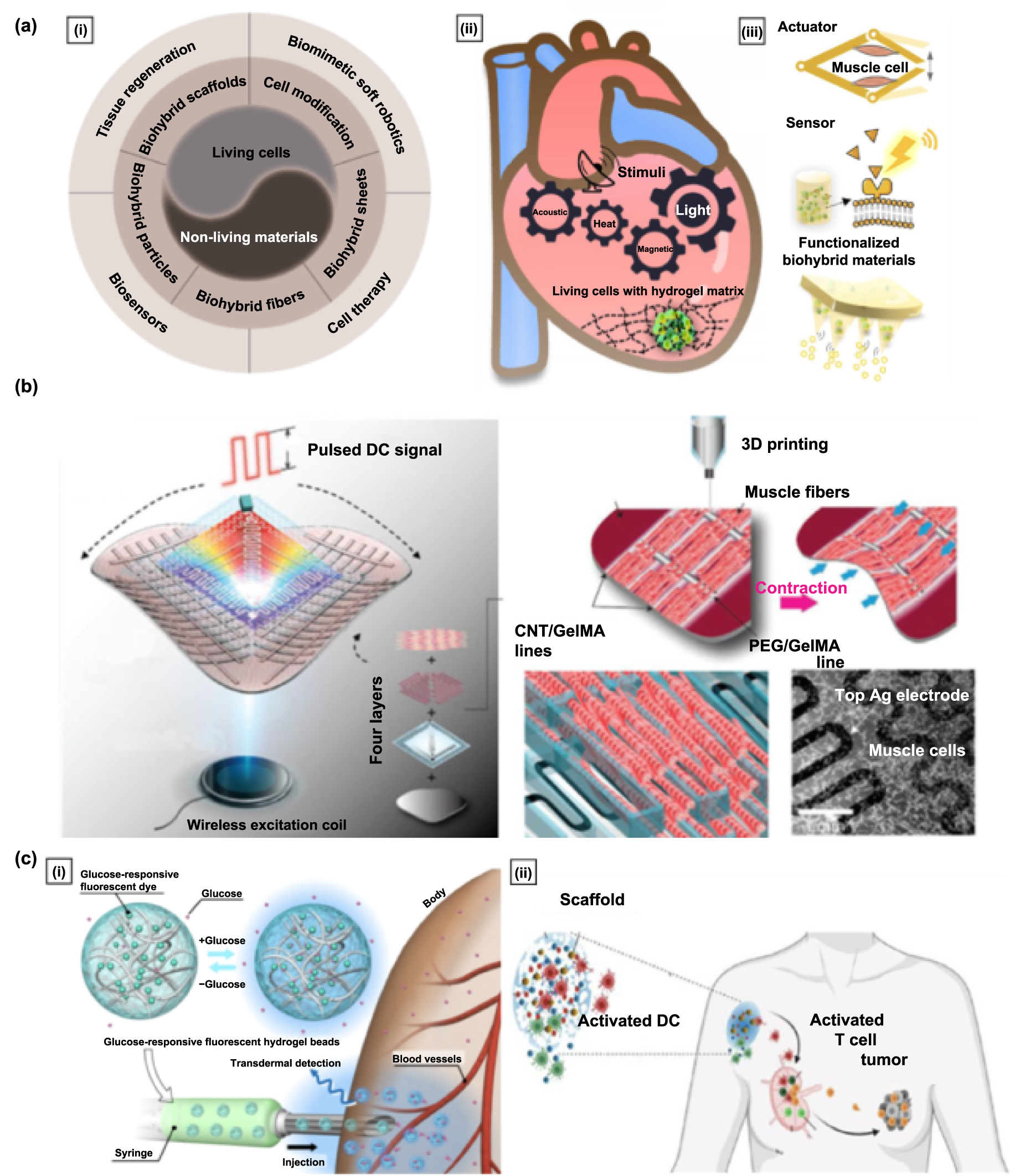 Hydrogel fabrication techniques for advanced artificial sensory