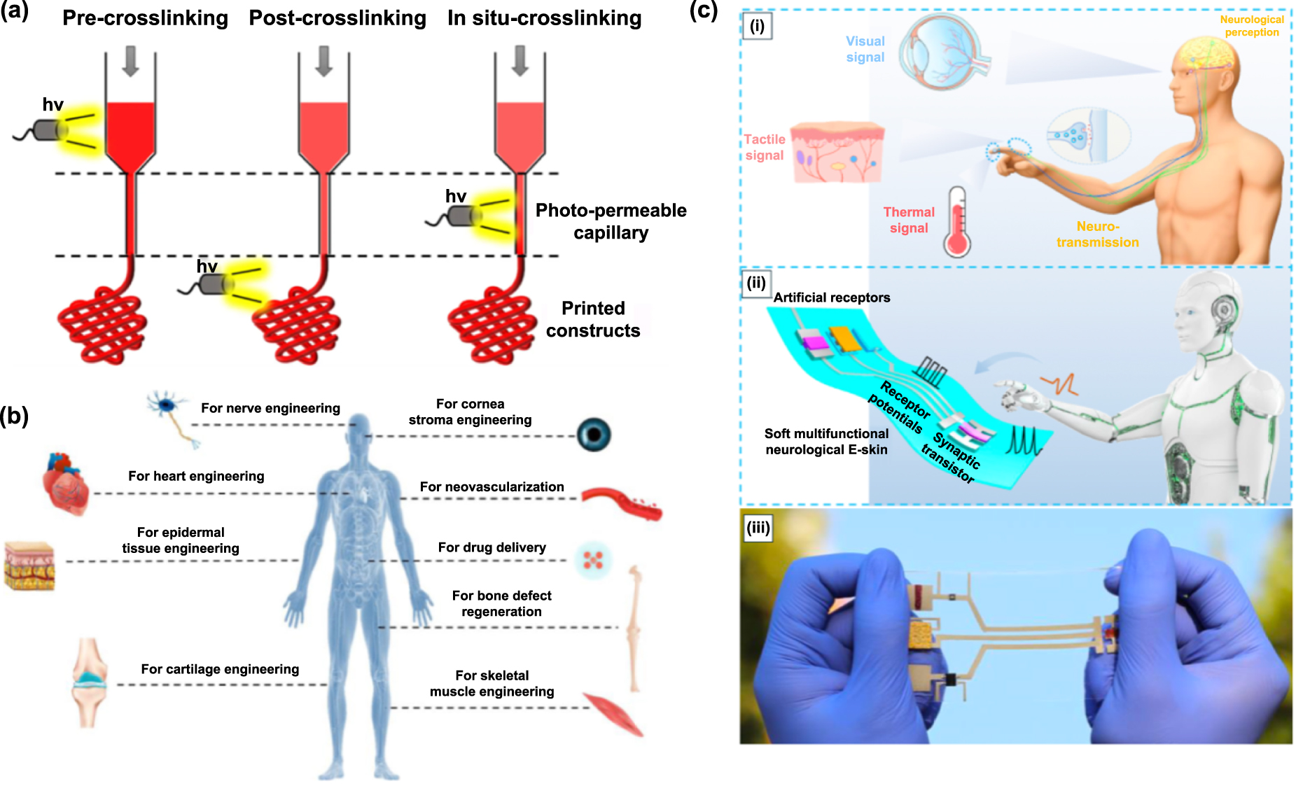 Hydrogel fabrication techniques for advanced artificial sensory