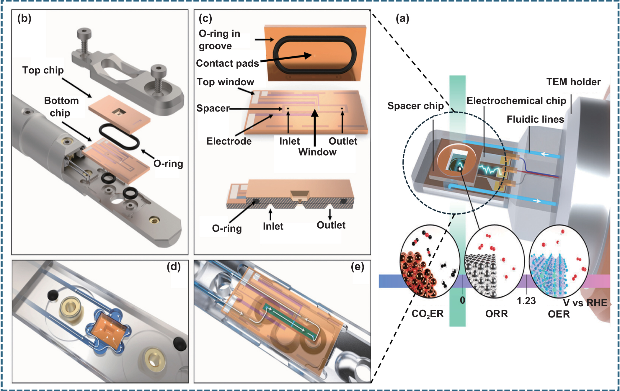 中村みつる Steady-State Delivery and Chemical Modification of Food