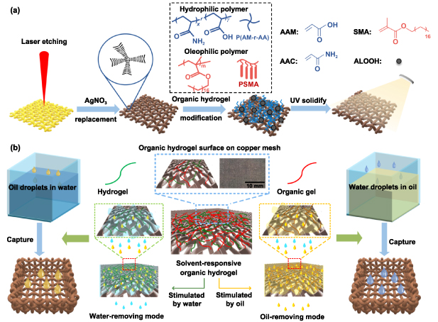 Micro-nano manufacturing of a pre-identified organic hydrogel surface ...