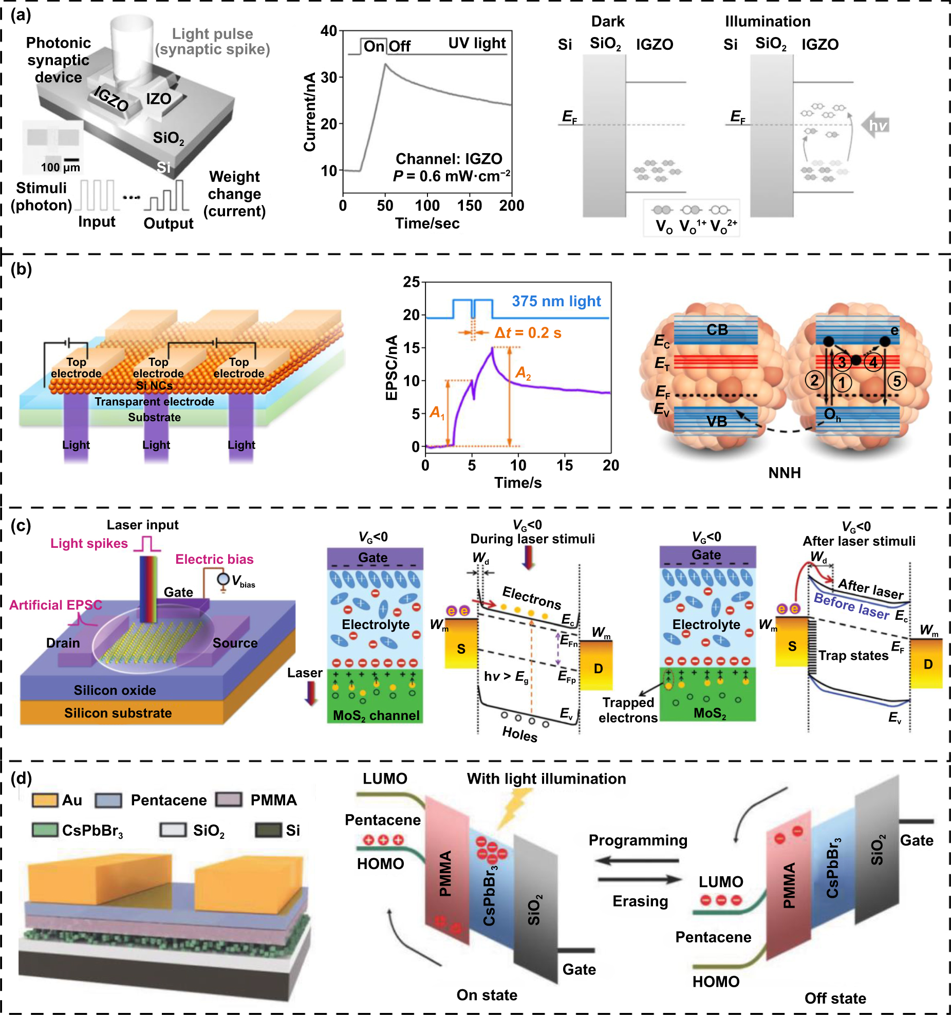 Neuromorphic devices for intelligent visual perception - IOPscience
