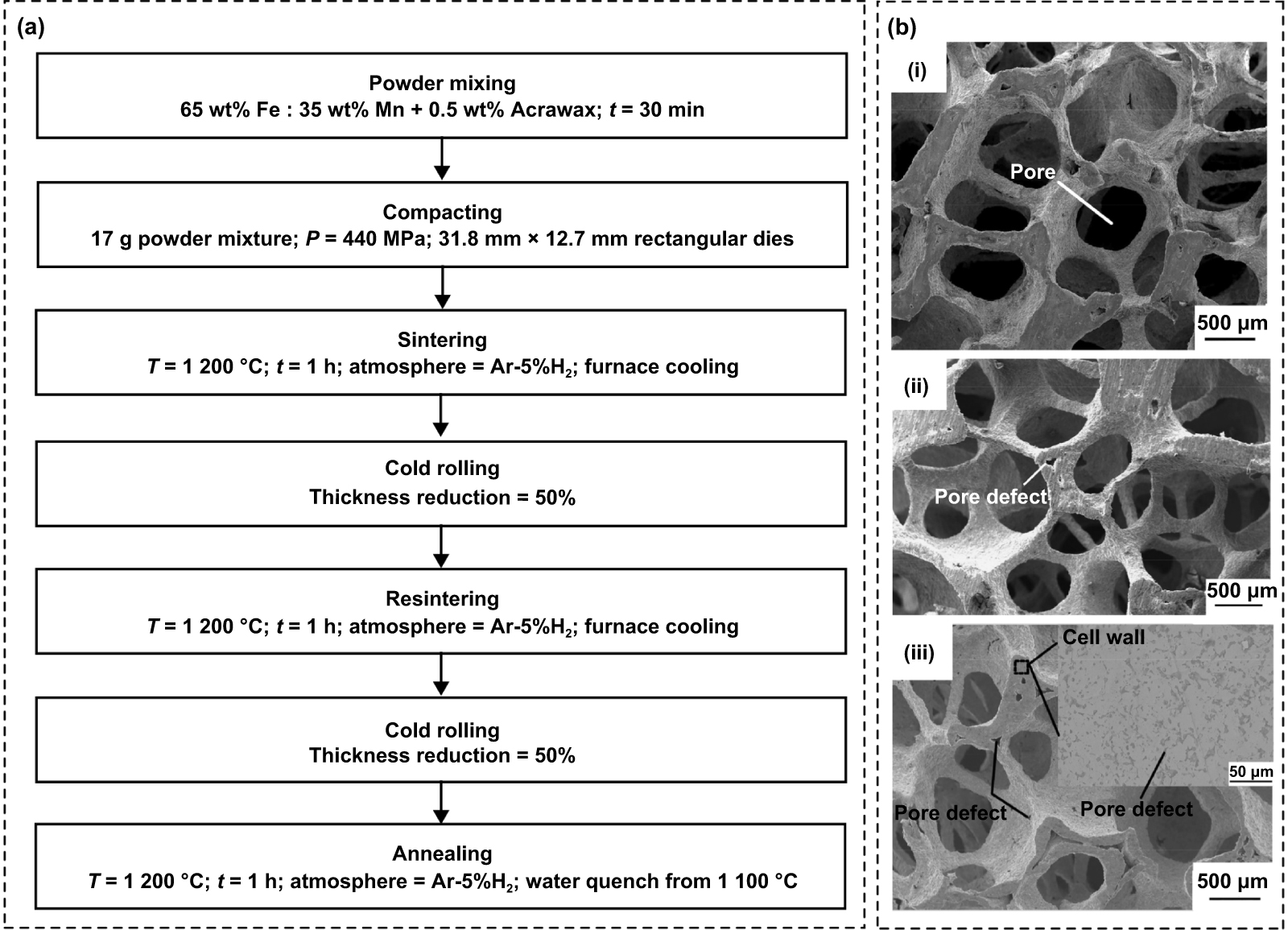 Insights into biodegradable Mn-incorporated Fe-based scaffolds in
