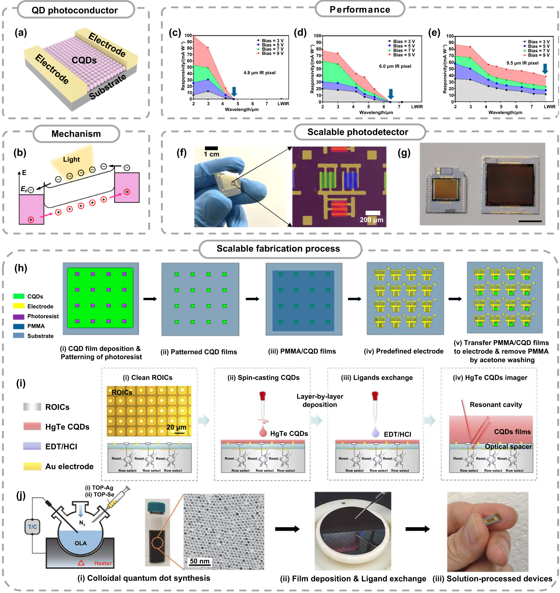 Scalable fabrication of mid-wavelength and long-wavelength infrared ...