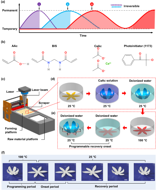 Hydrogel-shape memory polymer synergistic effect enabled 4D-printed ...