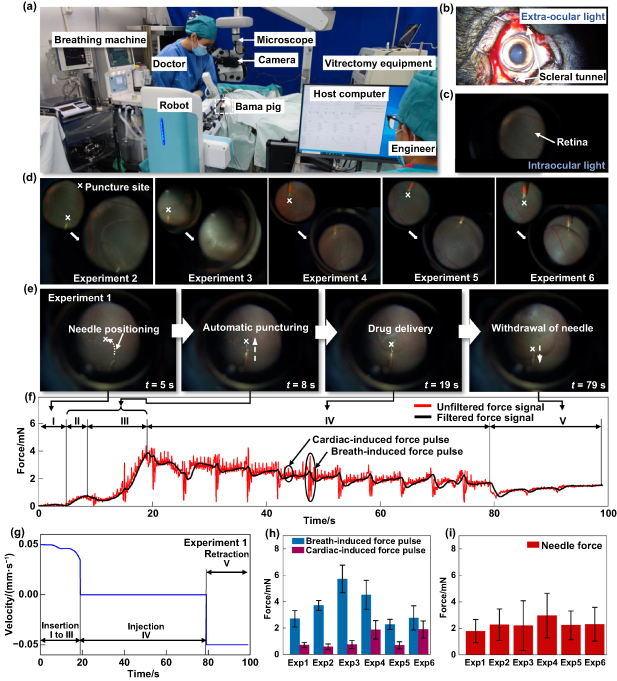 Ophthalmic surgical robot for precise retinal puncture and drug ...