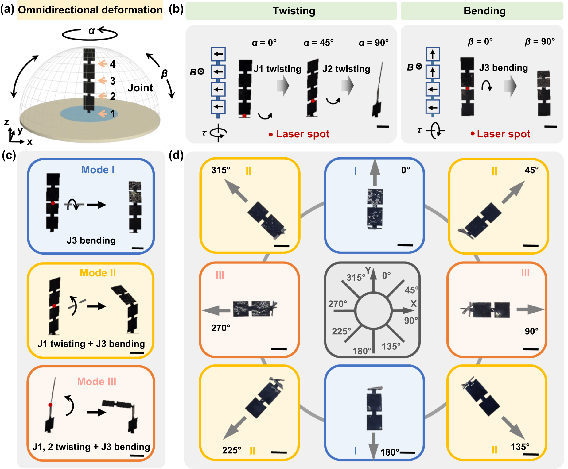 Laser-induced in situ reprogramming of magnetic shape memory
